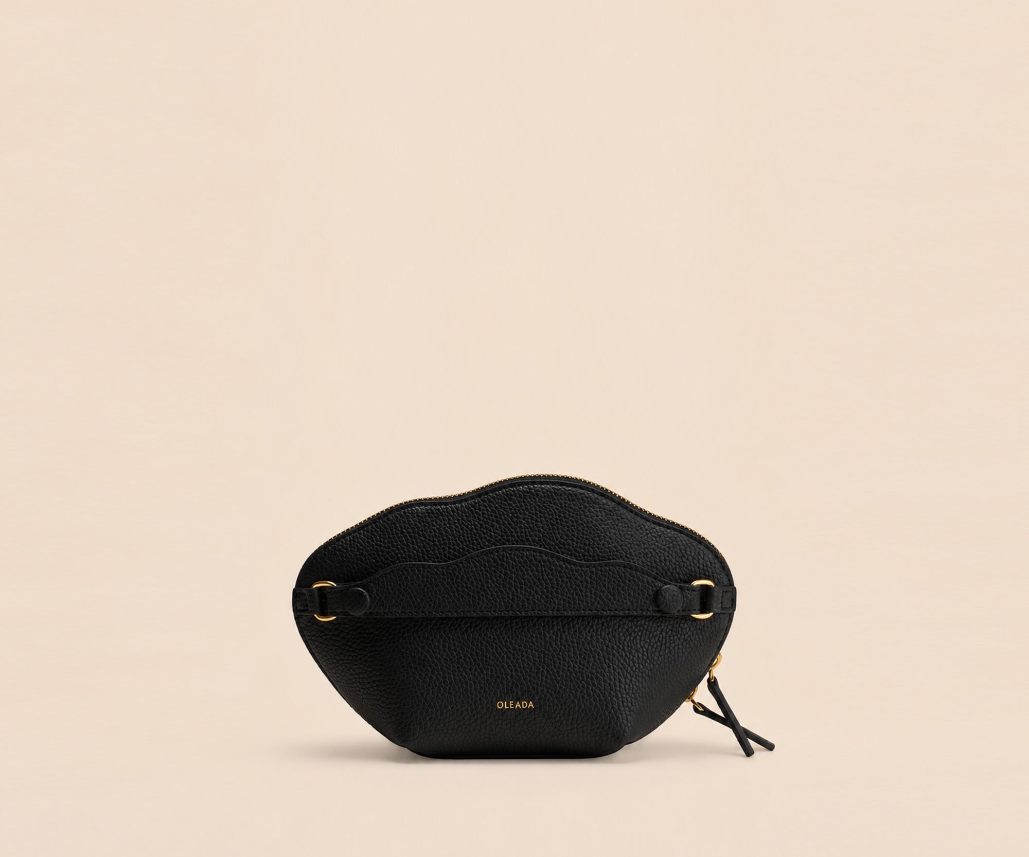 The Dream Pouch