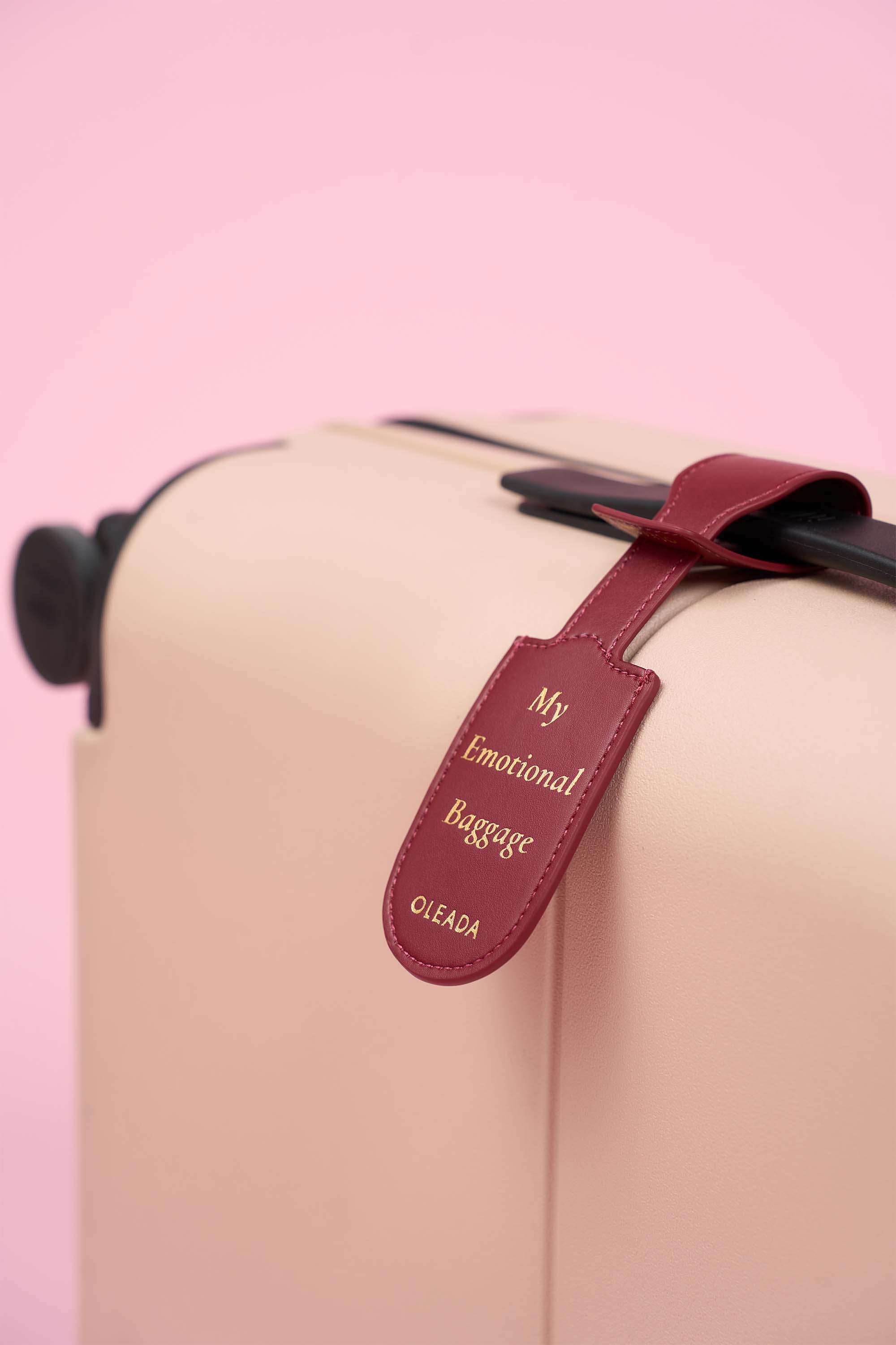 OLEADA NYC Apparel and Accessories > Women > Small Leather Goods > Leather Case Atlas Emotional Support Luggage Tag