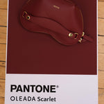 OLEADA NYC Apparel and Accessories > Women > Small Leather Goods > Leather Case Le Coeur Pouch (Regular)