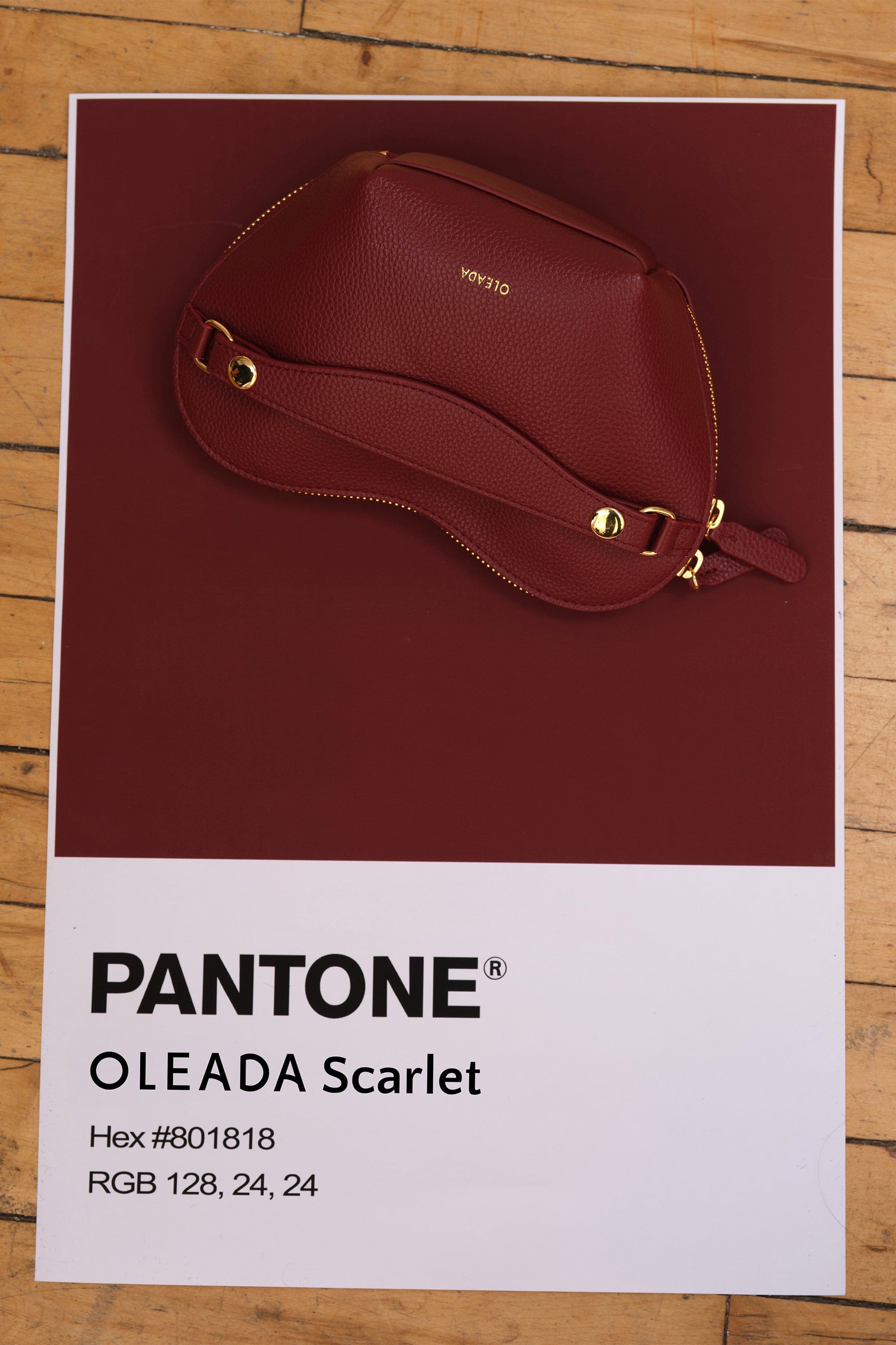 OLEADA NYC Apparel and Accessories > Women > Small Leather Goods > Leather Case Le Coeur Pouch (Regular)